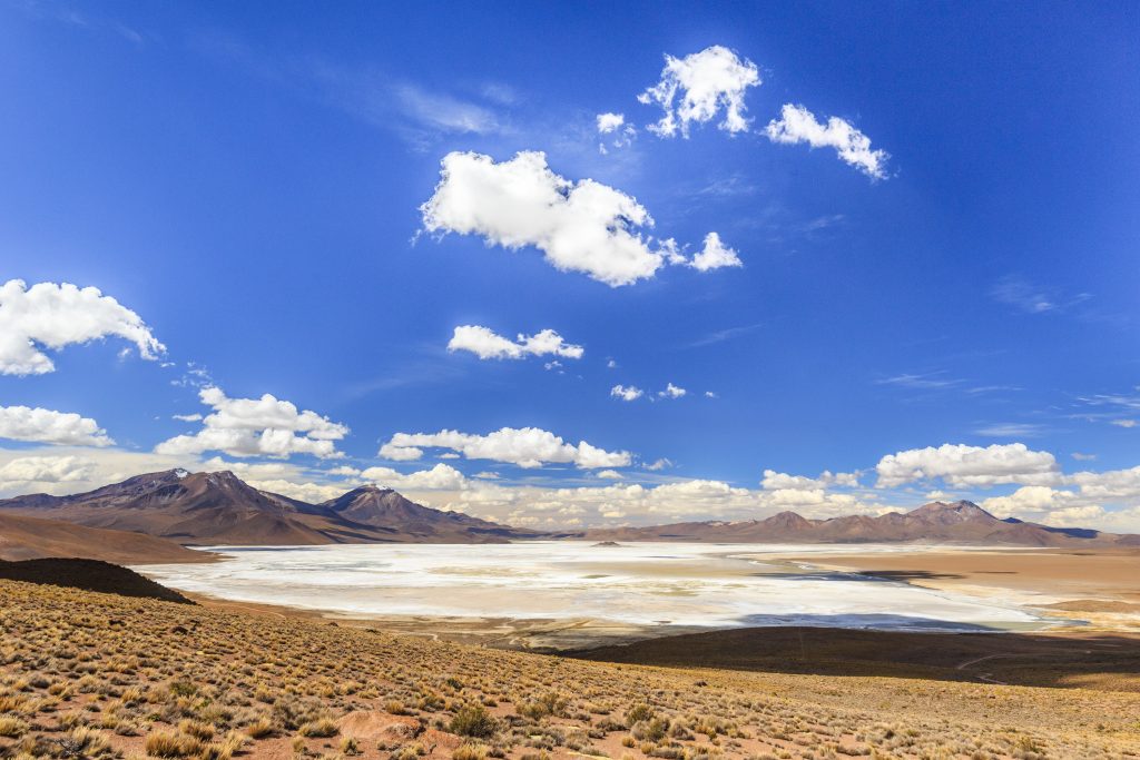 Lithium Power International y Codelco