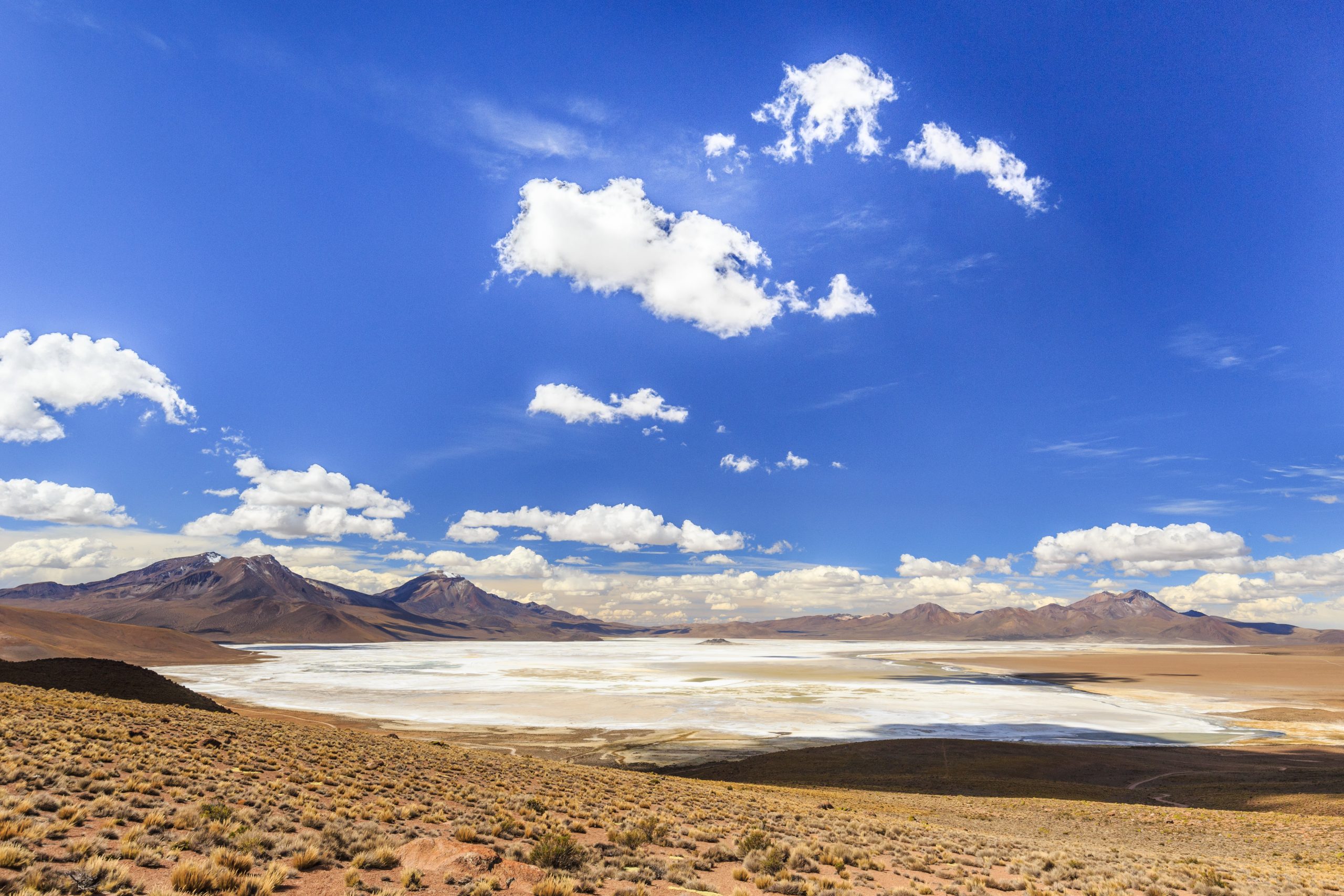 Lithium Power International y Codelco